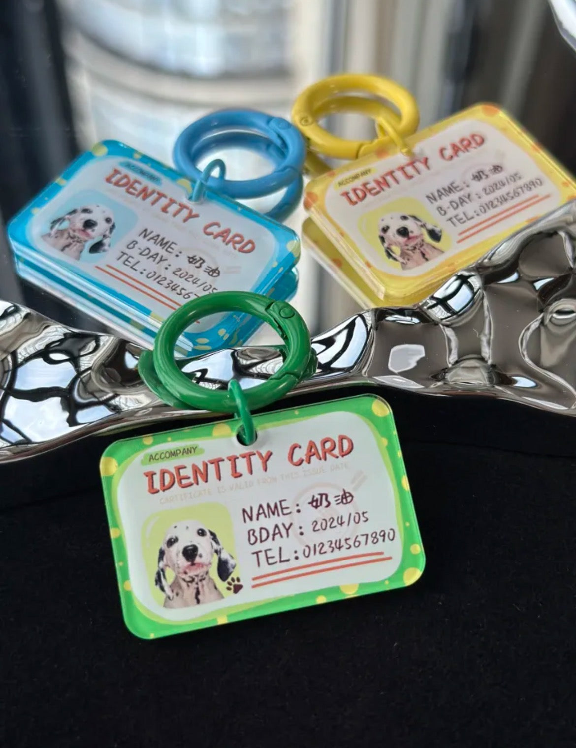 PawsCube Personalized Pet ID Collar Tags: Photo Customization, Dopamine Color Collar Set, Fashionable and Cute Pet Equipment